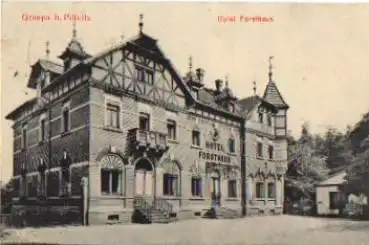 01796 Graupa Pirna Hotel Forsthaus o 1916