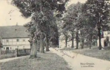01796  Neu-Graupa Pirna Linden-Allee o 1915
