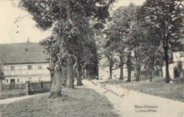 01827 Neu-Graupa Linden-Allee o 30.9.1915