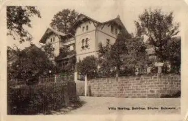01814 Schöna Villa Hering Sächsische Schweiz *ca. 1930