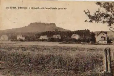 01824 Gohrisch mit Gohrischstein gebr. ca. 1910