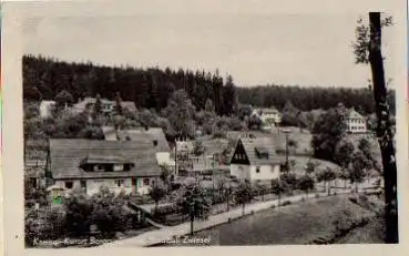 01819 Berggießhübel-Zwiesel *ca. 1950