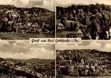 01816 Bad Gottleuba o 31.1.1966