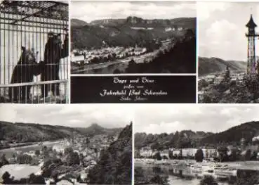 01814 Bad Schandau Bären o 18.5.1978