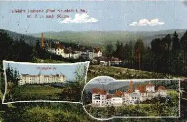 01844 Hohwald Heilstätte gebr. ca. 1913
