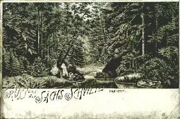 01844 Polenzthal Sächsische Schweiz Neustadt in Sachsen Litho * um 1900