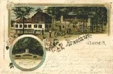 01844 Neustadt Sachsen Hohwaldschänke Litho o 7.2.1902