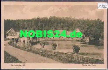 01744 Dippoldiswalde Teich, o 29.11.1919