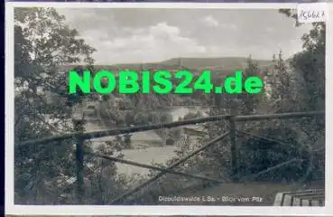 01744 Dipolldiswalde vom Pilz *ca. 1940