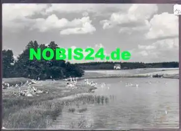 01737 Grillenburg im Tharandter Wald Badeteich *ca. 1960