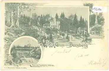 01328 Borsberg Litho o 30.5.1901