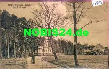 04808 Dornreichenbach Am Bahnhof * ca. 1910