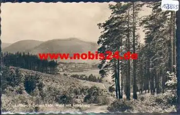 99891 Tabarz mit Inselberg *ca. 1960