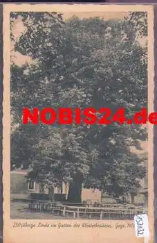 02692 Mönchswalde 250jährige Linde Kloster-Brauerei o 6.7.1941