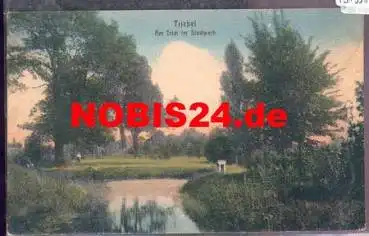 Triebel Lausitz Am Teich im Stadtpark *ca. 1910