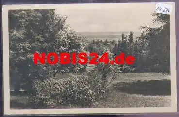 01917 Kamenz vom Hutberg o 3.6.1957