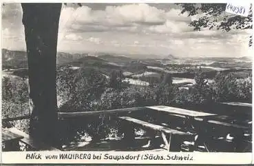 01855 Saupsdorf vom Wachberg o 17.9.1963