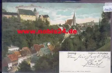 04703 Leisnig Schloss und Schlossberg  Bahnpost o 13.06.1905