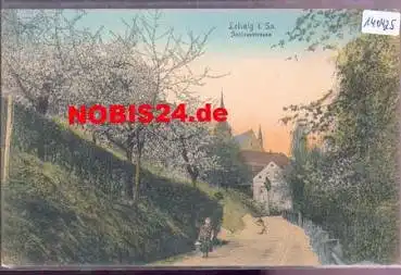 04703 Leisnig, Schlossstrasse, o 2.9.1918