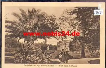 Dresden Palais Grosser Garten  o 18.7.1919