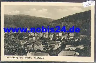 01762 Schmiedeberg, Molchgrund *ca. 1956