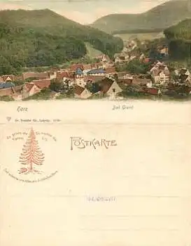 37539 Bad Grund  *ca.1900