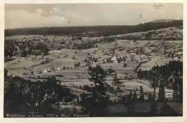 94556 Neuschönau Waldhäuser am Lusen * ca. 1940