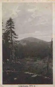 94556 Neuschönau Lusenkuppe * ca. 1930