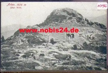94227 Zwiesel Arber Bayricher Wald *ca. 1920