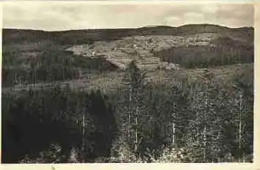 94556 Neuschönau Waldhäuser am Lusen Bayer. Wald *ca.1940