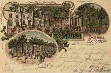 Berlin Schloss Schönholz Litho o 1.6.1901
