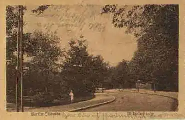 Berlin-Südende Wilhelmstrasse o ca. 1924