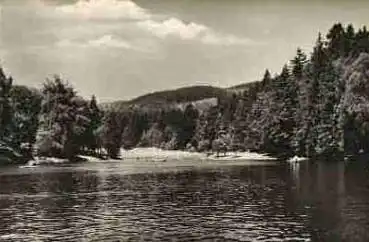 37441 Bad Sachsa Harz Schmelzteich o 20.7.1963