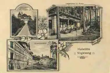 39245 Gommern Heilstätte Vogelsang * ca. 1910