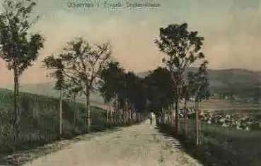 09526 Olbernhau Saydaerstrasse * ca. 1910