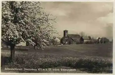 75389 Zwerenberg Schwarzwald * ca. 1930