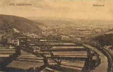 55500 Bad Kreuznach Salinental *ca. 1920