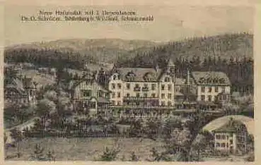 75328 Schömberg bei Wildbad Neue Heilanstalt Künstlerkarte A Reinhardt * ca. 1920