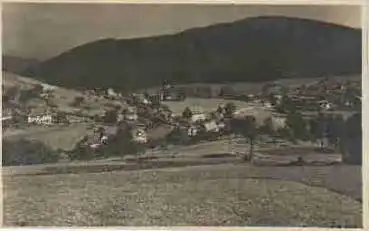 75337 Enzklösterle bei Wildbad  *ca. 1930