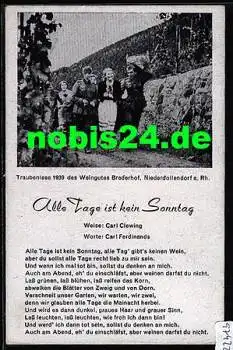 53639 Niederdollendorf Weinlese des Weingutes Brederof *1939