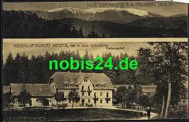 78148 Neueck Schwarzwald Freiburgerhof *ca. 1915