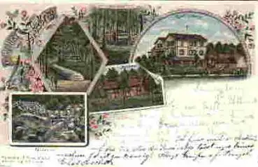 64686 Reichenbach Odenwald Hotel Felsberg Farblitho o 13.6.1898