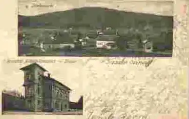 64367 Traisa Odenwald Bahnhof o 29.06.1903