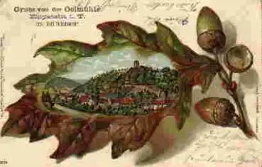 65817 Eppstein Taunus Prägelitho o 08.03.1904