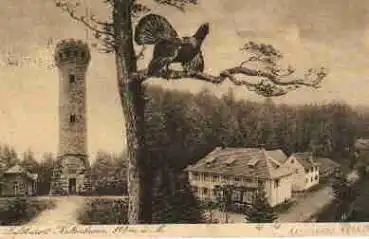 76593 Kaltenbronn Auerhahn Frankatur mit Firmenlochung RCG o 9.11.1925