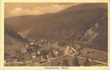 72270 Schönmünzach Murgtal *ca.1930