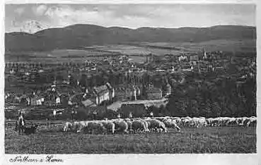 37154 Northeim Schafherde o 8.8.1939