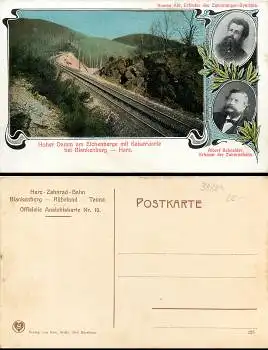 38889 Blankenburg harz Hoher Damm am Eichenberge mit Kaiserwarte * ca. 1930