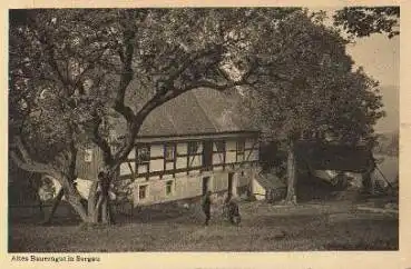 09517 Sorgau Altes Bauerngut * ca. 1925