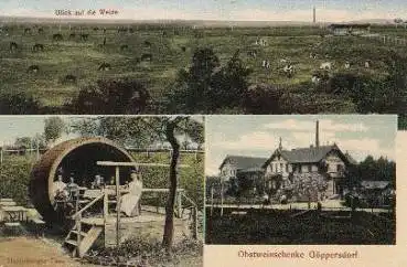 09306 Göppersdorf Obstweinschenke o 1.5.1911